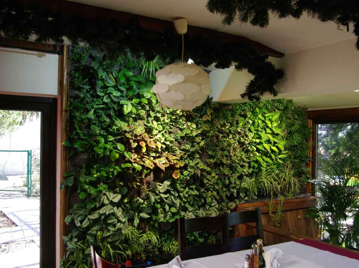 Gradina Verticala Perete Vegetal Restaurant La Nuci